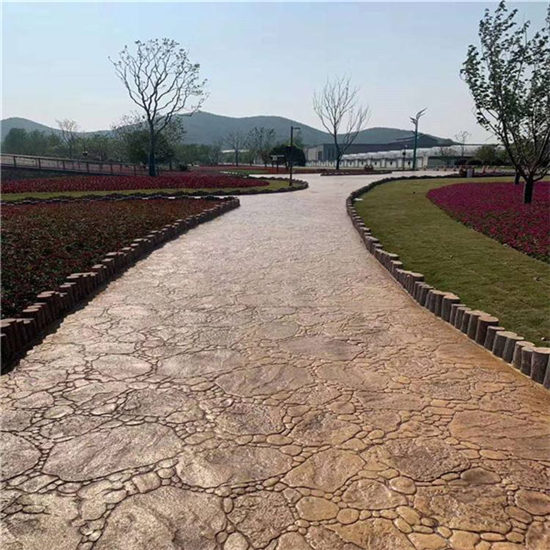 ������������ƺ