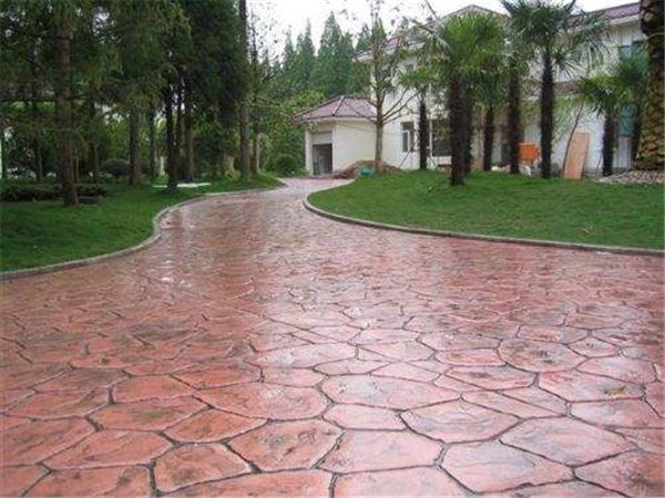 ������������ƺ