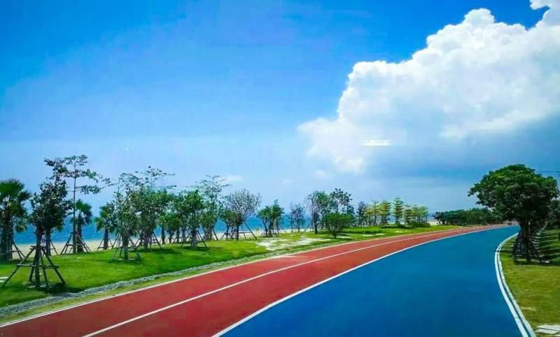 ��ɫ������ƺ