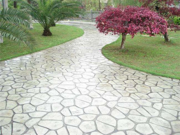 ������������ƺ