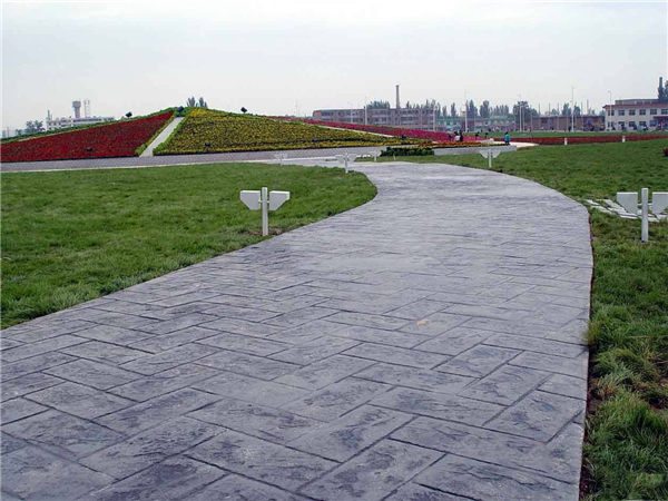 ������������ƺ