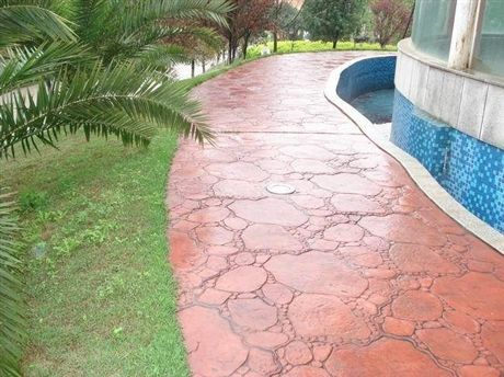 ������������ƺ